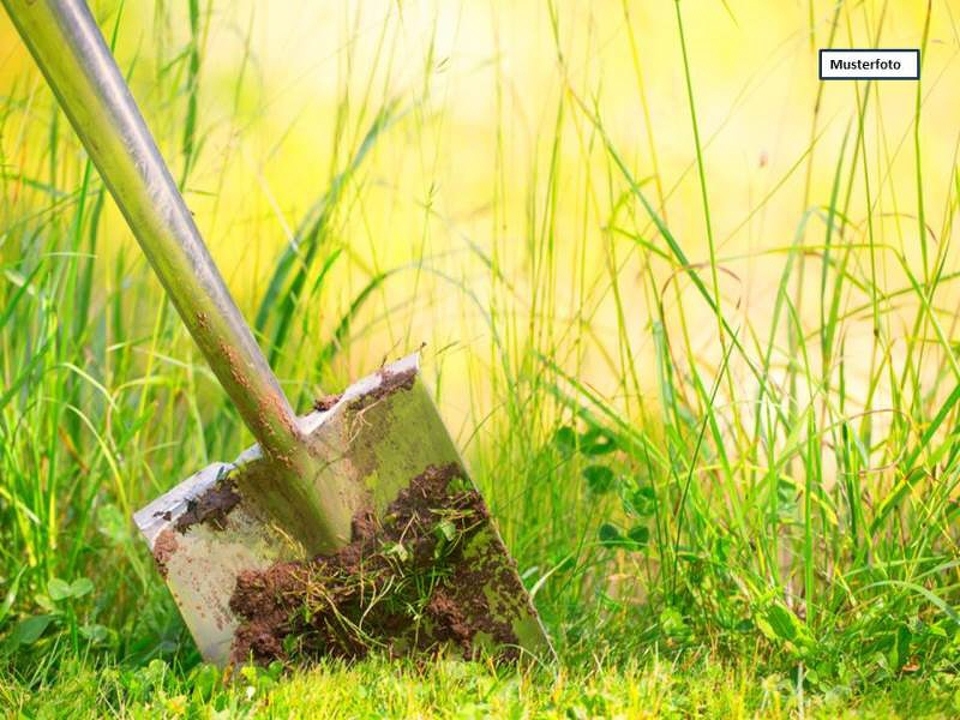 Grundstück_Wiese_Musterfoto