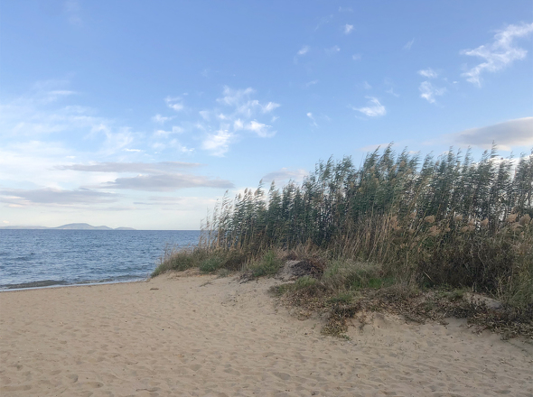 Marathon Sur Mer