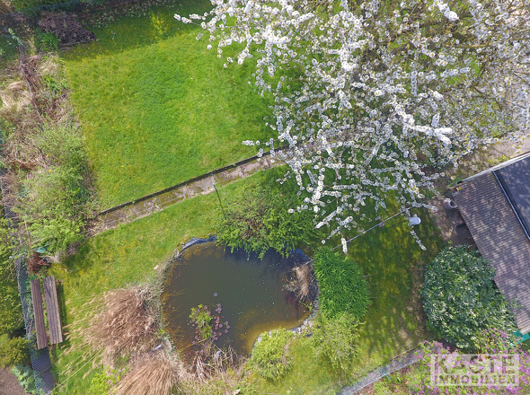 Garten 02