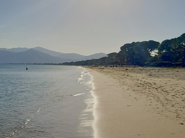 Strand von Schinias
