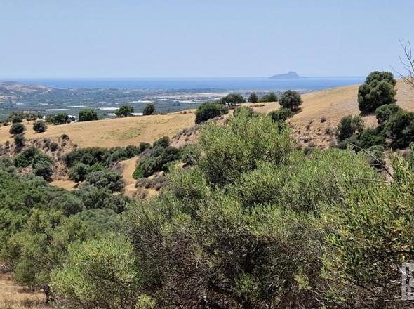 Aussicht