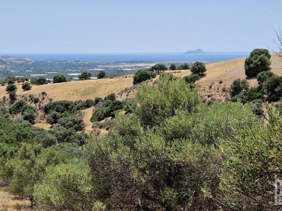 Aussicht