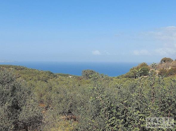 Aussicht