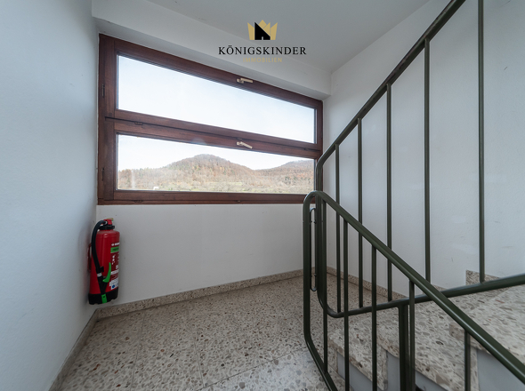 Gepflegtes Treppenhaus – lichtdurchflutet mit schöner Aussicht