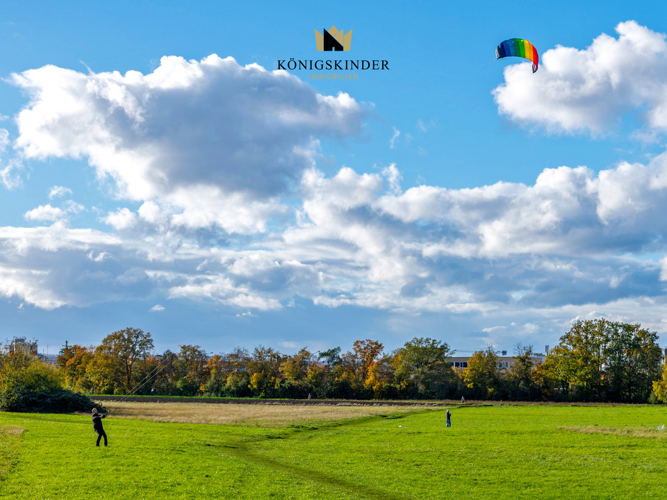 Wiese_gegenüber_DSC5743