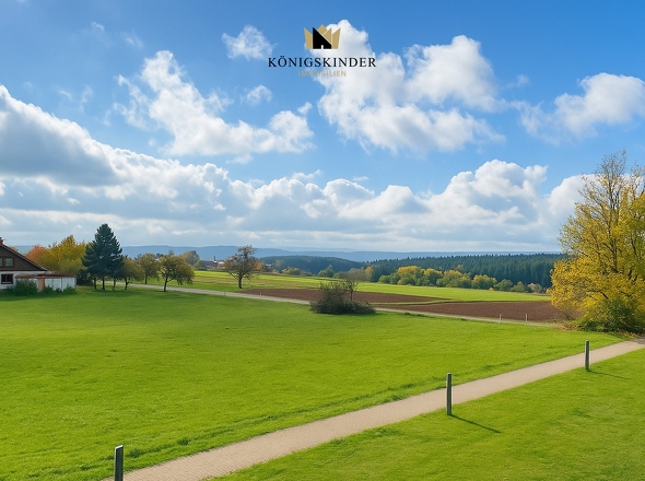 ...zu dieser Aussicht !