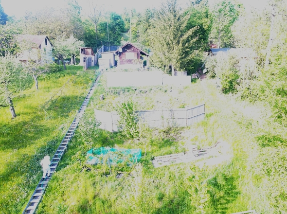 alles im grünen Bereich