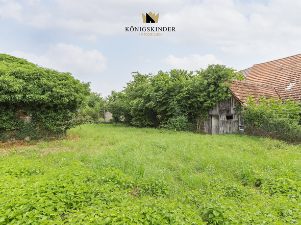 Großer Garten- mit viel Platz für Kinder, Gartenprojekte oder Erholung
