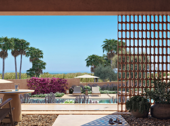 Olive Courtyard Collection