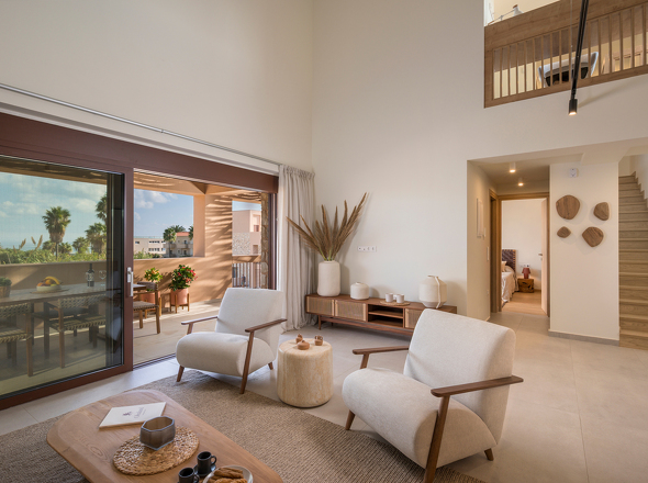 Olive Courtyard Collection