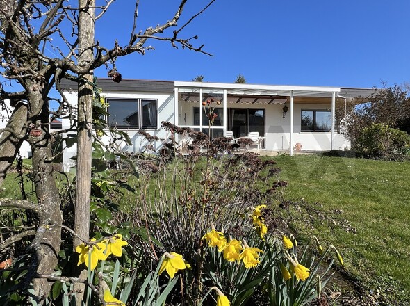 Außenansicht hinten