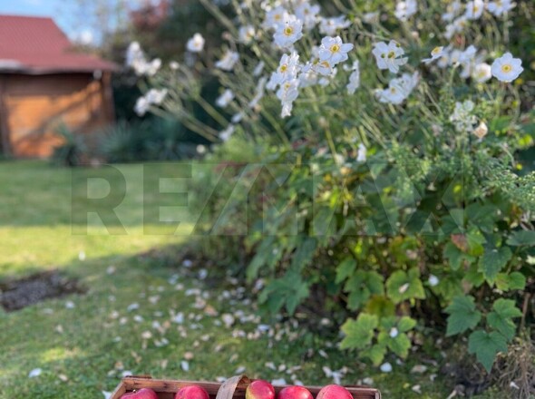 Impression im Frühling