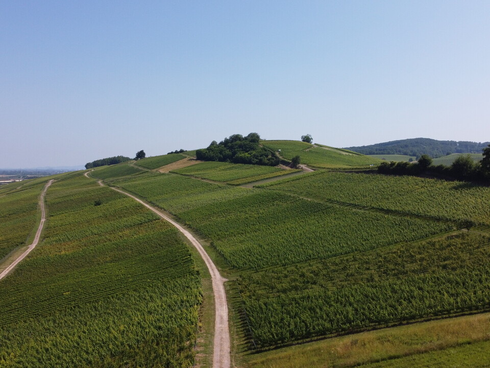 DJI_0452