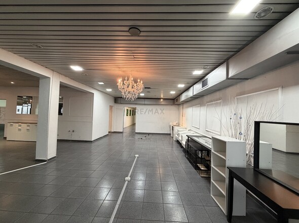 Ausstellungs-/ Verkaufsfläche