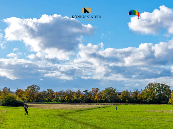 Wiese_gegenüber_DSC5743