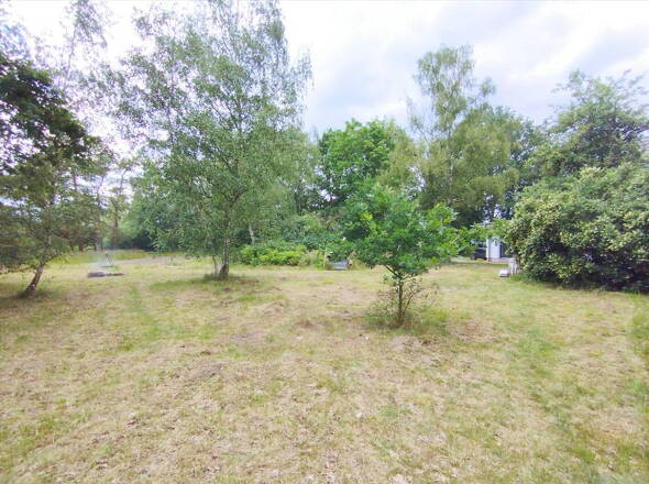 Parkähnlich u. grün gestalteter Gartenbereich