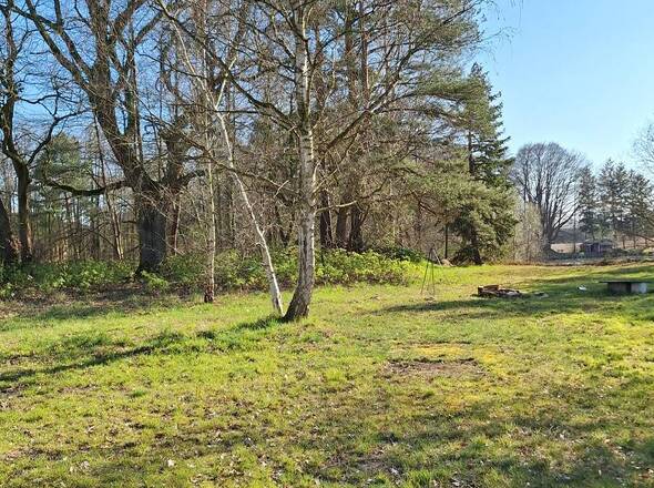 Parkähnlicher Garten #1