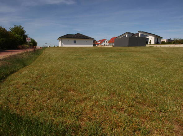 Gepflasterte Zufahrtstraße u. Tempo-30-Zone im Neubaugebiet