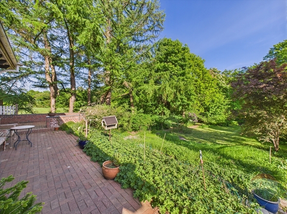 Ausblick von der Terrasse auf den Garten