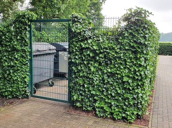 Gut getarnte Müllcontainer