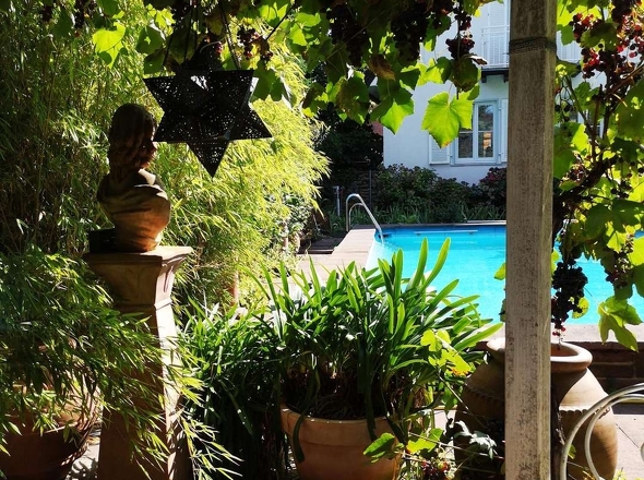 Terrasse unter Weinranken