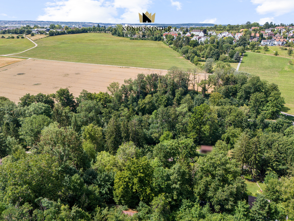 Investition mit Weitblick