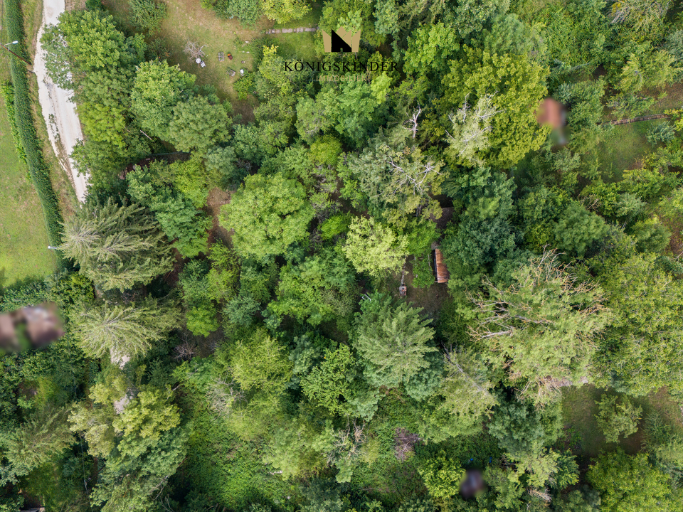 Erhabenes Blätterdach
