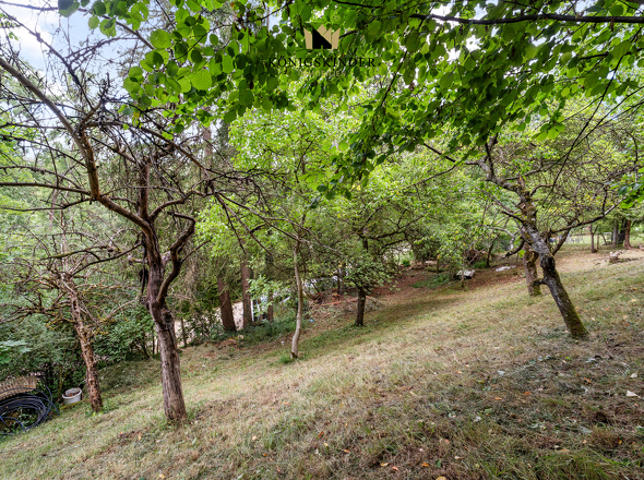 Artenreichtum in Flora und Fauna