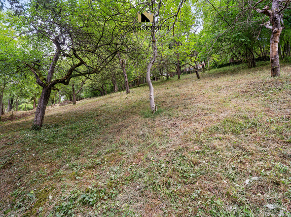 Südhanglage mit Potenzial