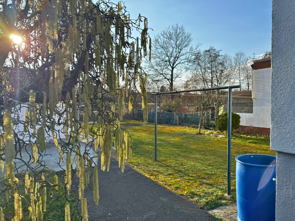 Garten 2