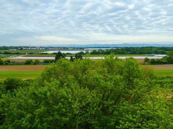 Blick vom Balkon