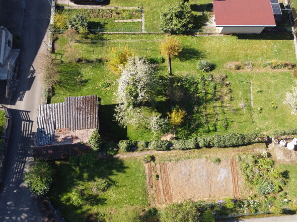 DJI_0495