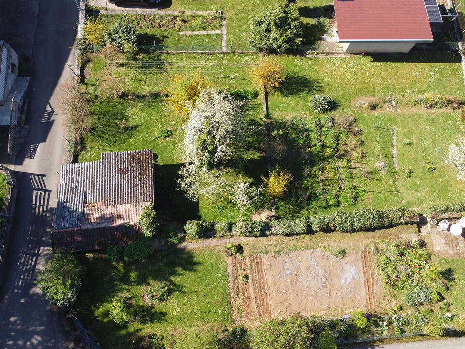 DJI_0495