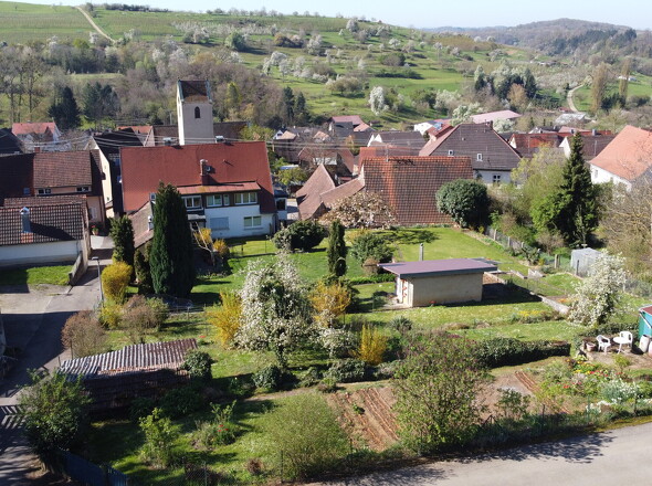 DJI_0494