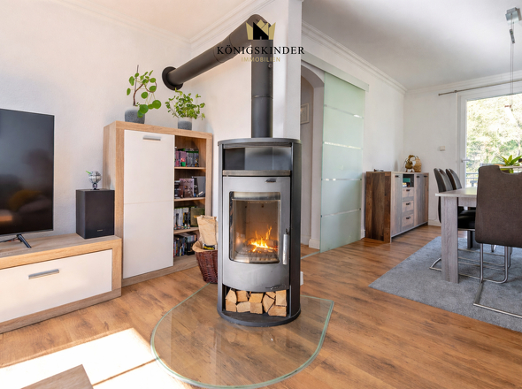 Moderner Wohnraum mit Kamin_ohne Rad