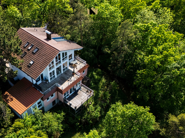 Rings um das ganze Haus "grün"!