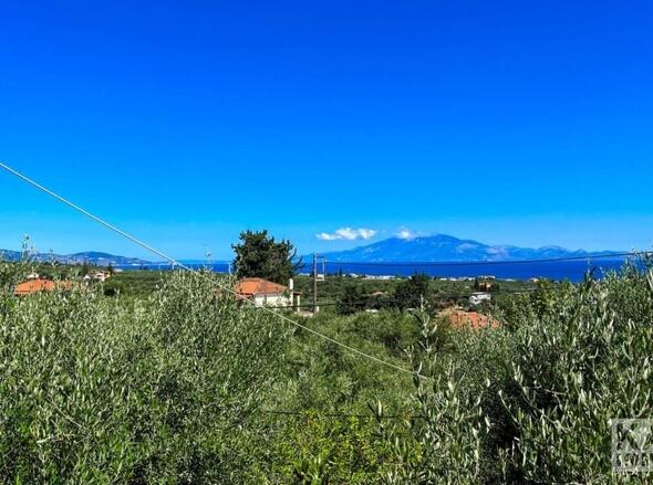Aussicht