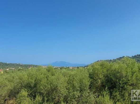 Aussicht