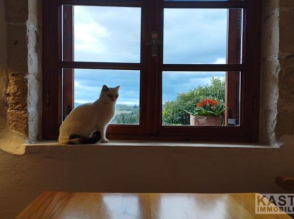 Aussicht