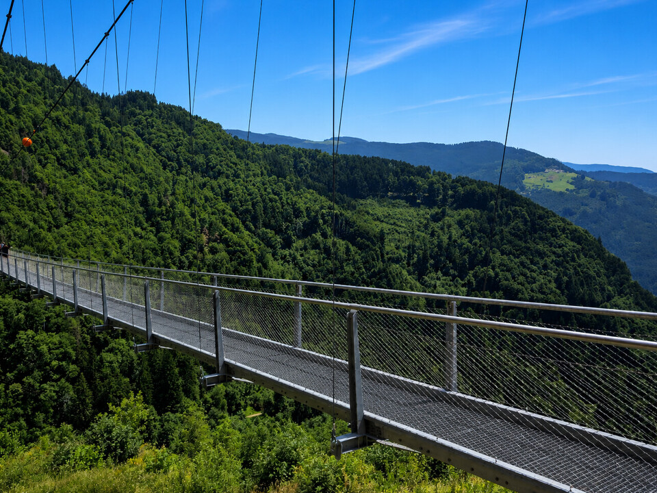 Beliebte Blackforestline