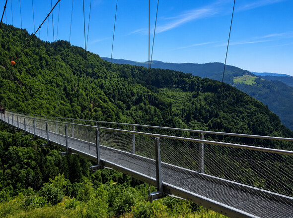 Beliebte Blackforestline
