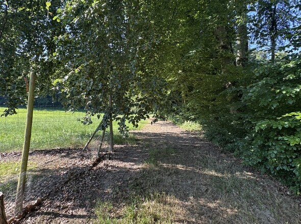 Grenzstein & angrenzendes Grundstück Obsthof
