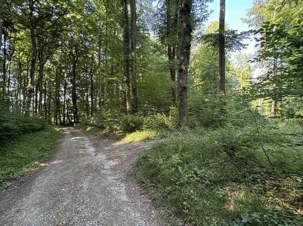 Zufahrtsweg.
