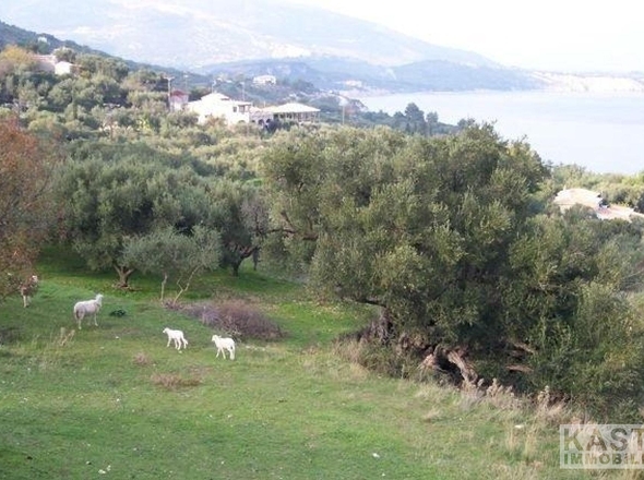 Aussicht