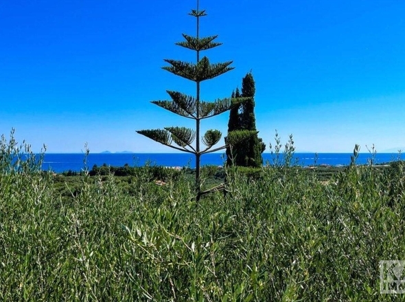 Aussicht