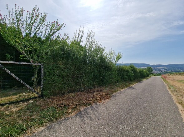 20260720_105413