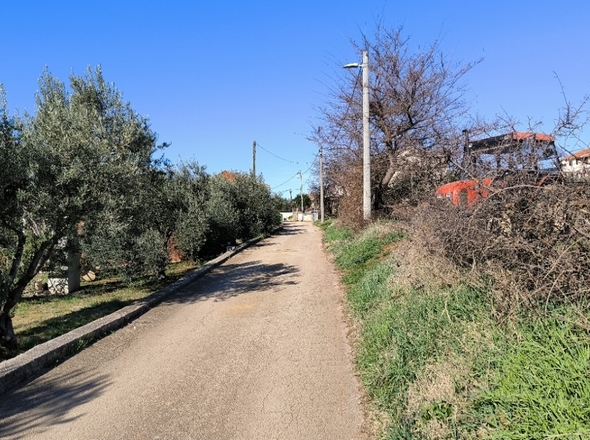 panorama-scouting-G486-2