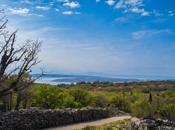 panorama-scouting-H3902-10