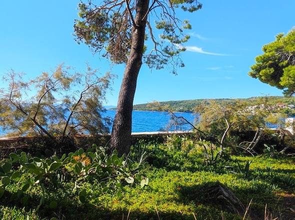 panorama-scouting-H3921-1