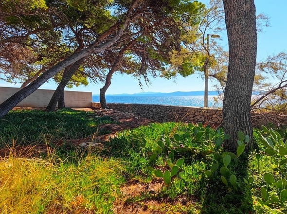 panorama-scouting-H3921-4